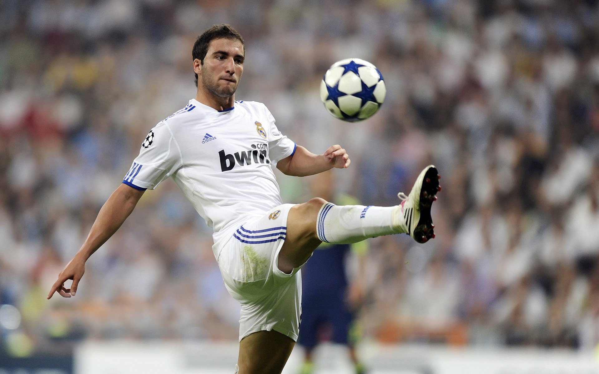 体育明星商业价值不断增长，中国体育明星商业价值开发问题研究